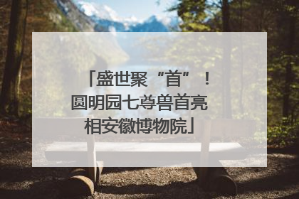 盛世聚“首”！圆明园七尊兽首亮相安徽博物院