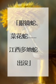 眼镜蛇、菜花蛇……江西多地蛇出没