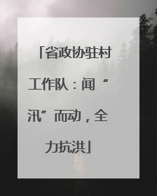 省政协驻村工作队：闻“汛”而动，全力抗洪