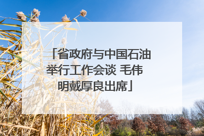 省政府与中国石油举行工作会谈 毛伟明戴厚良出席