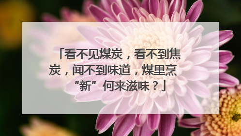 看不见煤炭，看不到焦炭，闻不到味道，煤里烹“新”何来滋味？