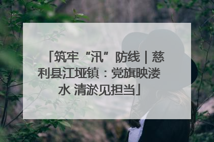 筑牢“汛”防线｜慈利县江垭镇：党旗映溇水 清淤见担当