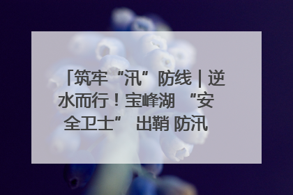 筑牢“汛”防线｜逆水而行！宝峰湖 “安全卫士” 出鞘 防汛应急再添硬核力量