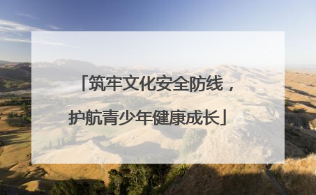 筑牢文化安全防线，护航青少年健康成长