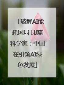 破解AI能耗困局 印裔科学家：中国在引领AI绿色发展