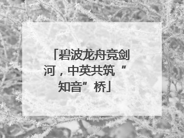 碧波龙舟竞剑河，中英共筑“知音”桥