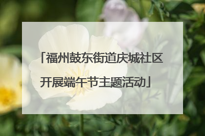 福州鼓东街道庆城社区开展端午节主题活动