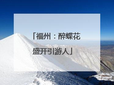 福州：醉蝶花盛开引游人