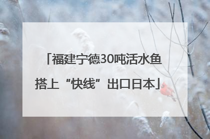 福建宁德30吨活水鱼搭上“快线”出口日本