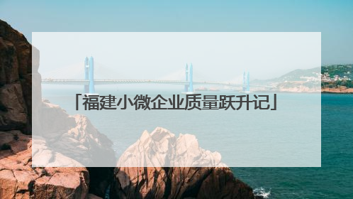 福建小微企业质量跃升记