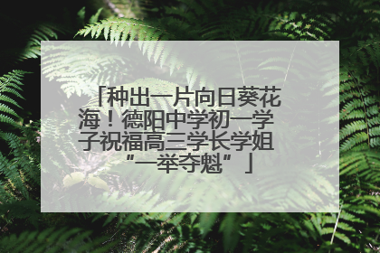 种出一片向日葵花海！德阳中学初一学子祝福高三学长学姐“一举夺魁”