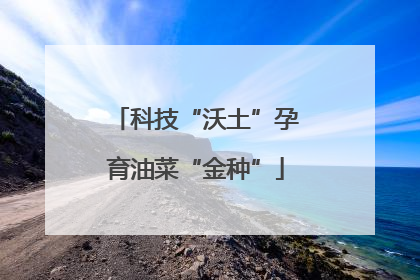 科技“沃土”孕育油菜“金种”