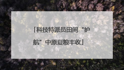 科技特派员田间“护航”中原夏粮丰收