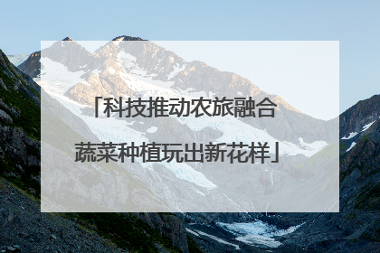科技推动农旅融合 蔬菜种植玩出新花样