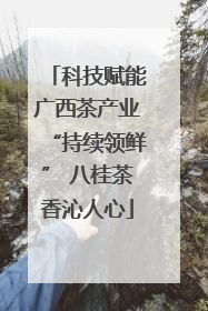 科技赋能广西茶产业“持续领鲜” 八桂茶香沁人心