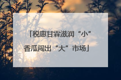 税惠甘霖滋润“小”香瓜闯出“大”市场