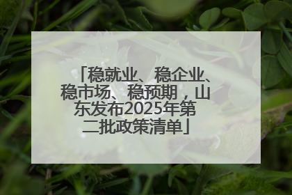 稳就业、稳企业、稳市场、稳预期，山东发布2025年第二批政策清单