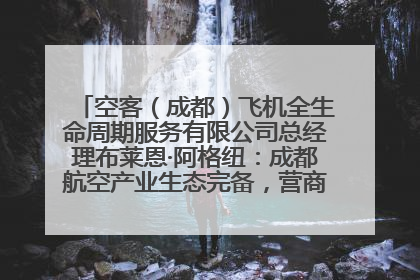 空客（成都）飞机全生命周期服务有限公司总经理布莱恩·阿格纽：成都航空产业生态完备，营商环境优势显著