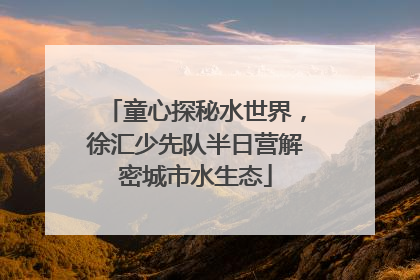 童心探秘水世界，徐汇少先队半日营解密城市水生态