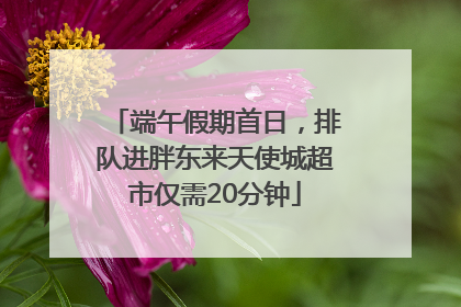 端午假期首日，排队进胖东来天使城超市仅需20分钟