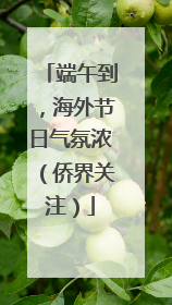 端午到，海外节日气氛浓（侨界关注）