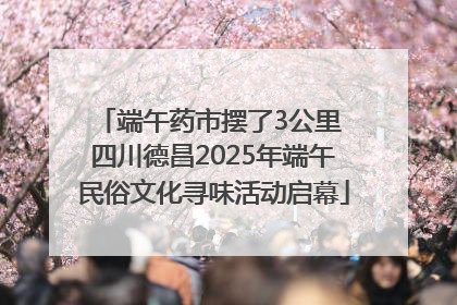 端午药市摆了3公里 四川德昌2025年端午民俗文化寻味活动启幕