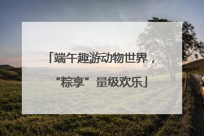 端午趣游动物世界，“粽享”量级欢乐