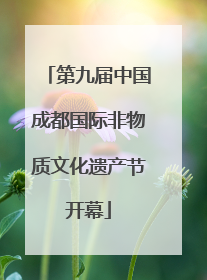 第九届中国成都国际非物质文化遗产节开幕