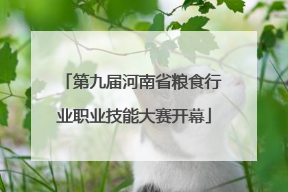 第九届河南省粮食行业职业技能大赛开幕