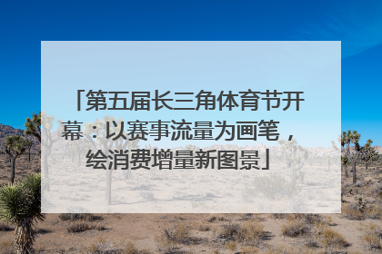 第五届长三角体育节开幕：以赛事流量为画笔，绘消费增量新图景