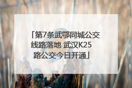 第7条武鄂同城公交线路落地 武汉K25路公交今日开通