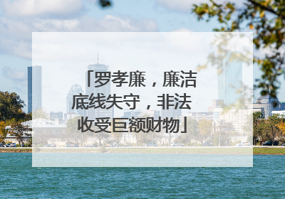 罗孝廉，廉洁底线失守，非法收受巨额财物