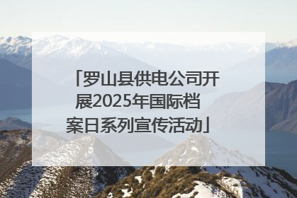罗山县供电公司开展2025年国际档案日系列宣传活动