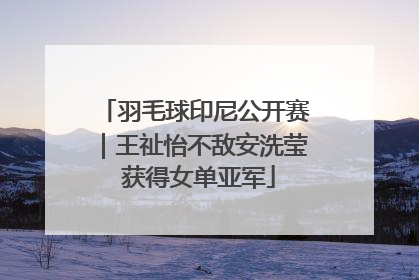 羽毛球印尼公开赛｜王祉怡不敌安洗莹 获得女单亚军
