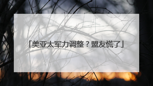 美亚太军力调整？盟友慌了