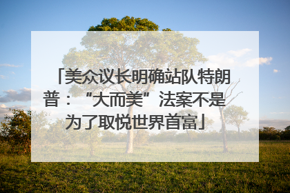 美众议长明确站队特朗普：“大而美”法案不是为了取悦世界首富