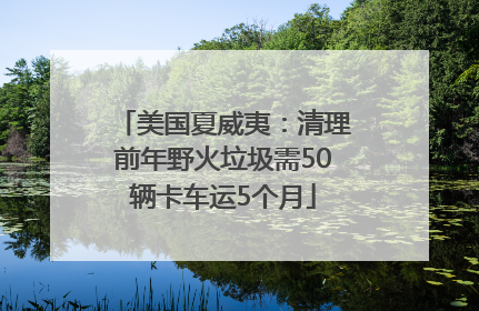 美国夏威夷：清理前年野火垃圾需50辆卡车运5个月