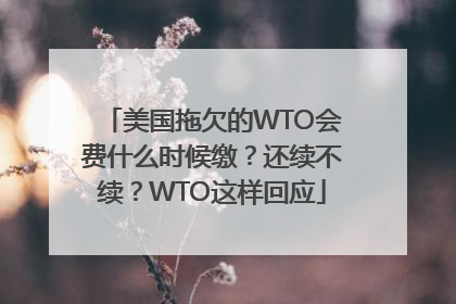 美国拖欠的WTO会费什么时候缴？还续不续？WTO这样回应