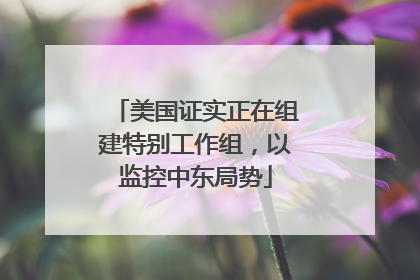 美国证实正在组建特别工作组，以监控中东局势