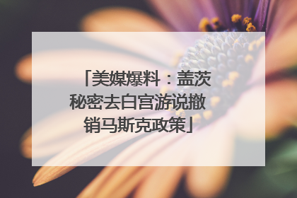 美媒爆料：盖茨秘密去白宫游说撤销马斯克政策