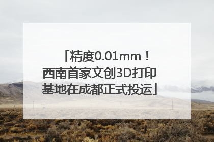 精度0.01mm！西南首家文创3D打印基地在成都正式投运