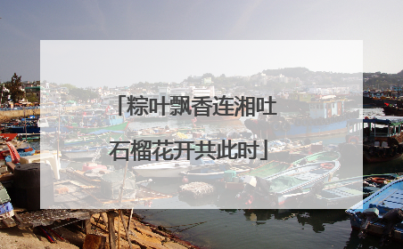 粽叶飘香连湘吐 石榴花开共此时