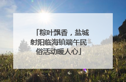粽叶飘香，盐城射阳临海镇端午民俗活动暖人心