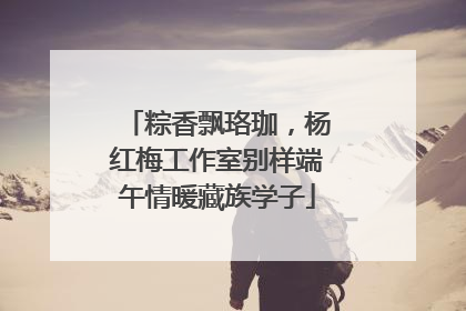 粽香飘珞珈，杨红梅工作室别样端午情暖藏族学子