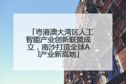 粤港澳大湾区人工智能产业创新联盟成立，南沙打造全球AI产业新高地