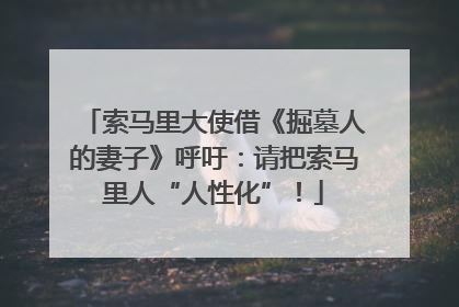 索马里大使借《掘墓人的妻子》呼吁：请把索马里人“人性化”！
