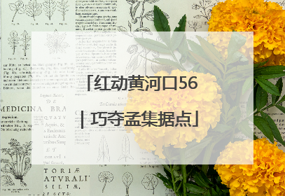 红动黄河口56｜巧夺孟集据点