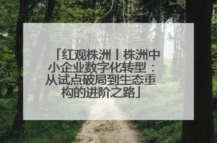 红观株洲丨株洲中小企业数字化转型：从试点破局到生态重构的进阶之路