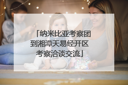 纳米比亚考察团到湘潭天易经开区考察洽谈交流
