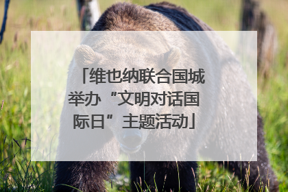 维也纳联合国城举办“文明对话国际日”主题活动